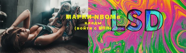 PSILOCYBIN Богородск