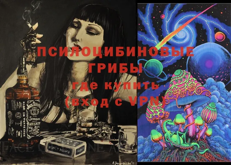 Псилоцибиновые грибы Cubensis  мега маркетплейс  Ельня  закладки 